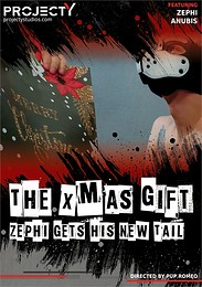 The Christmas Gift: Zephi Gets His New Tail
